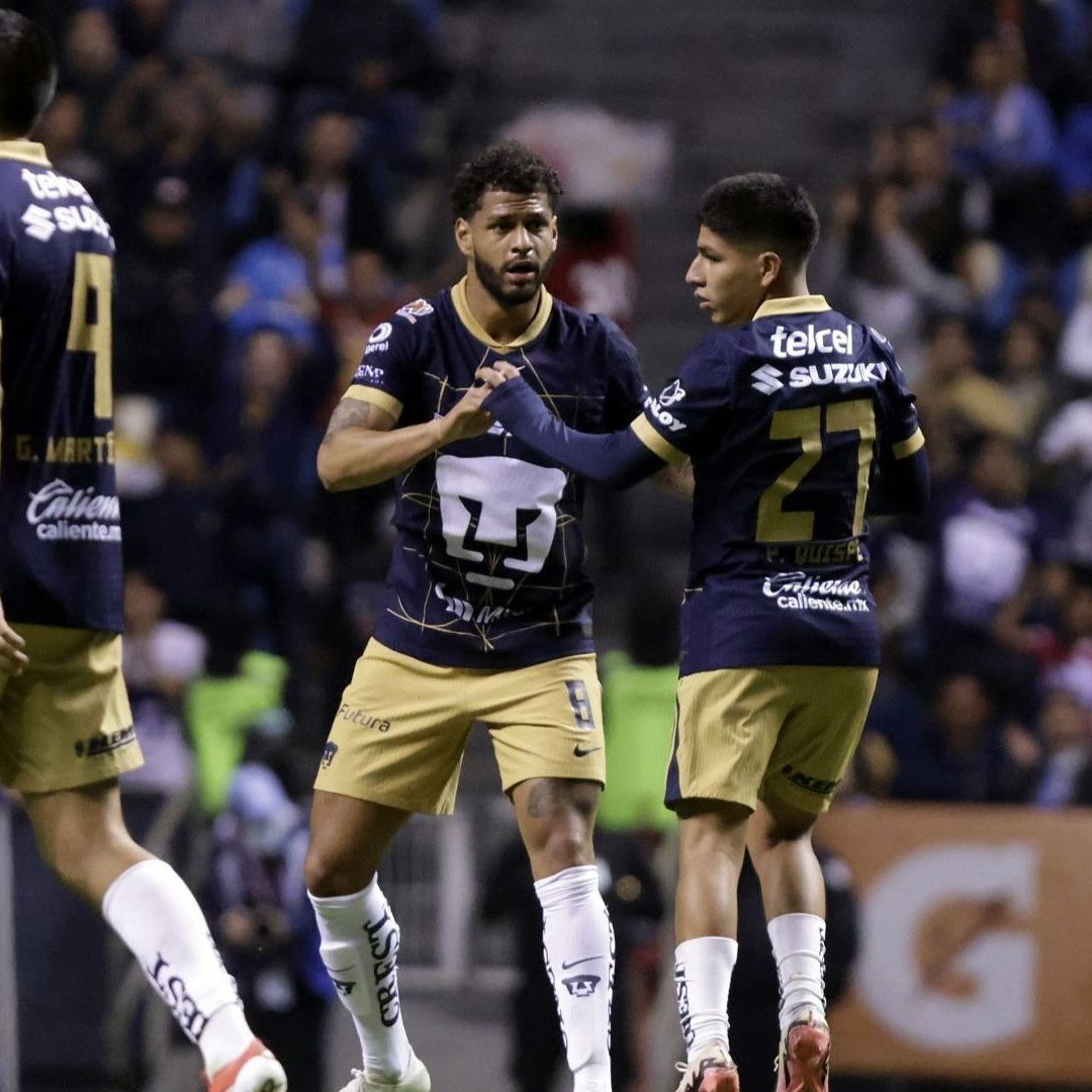 Pumas