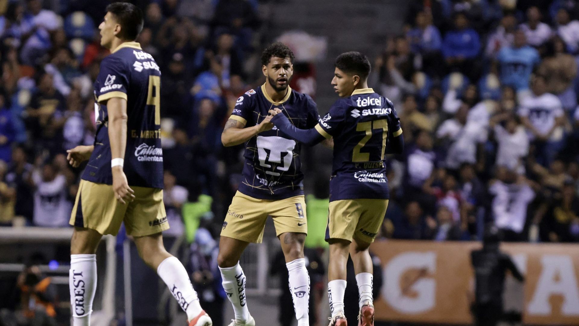 Pumas
