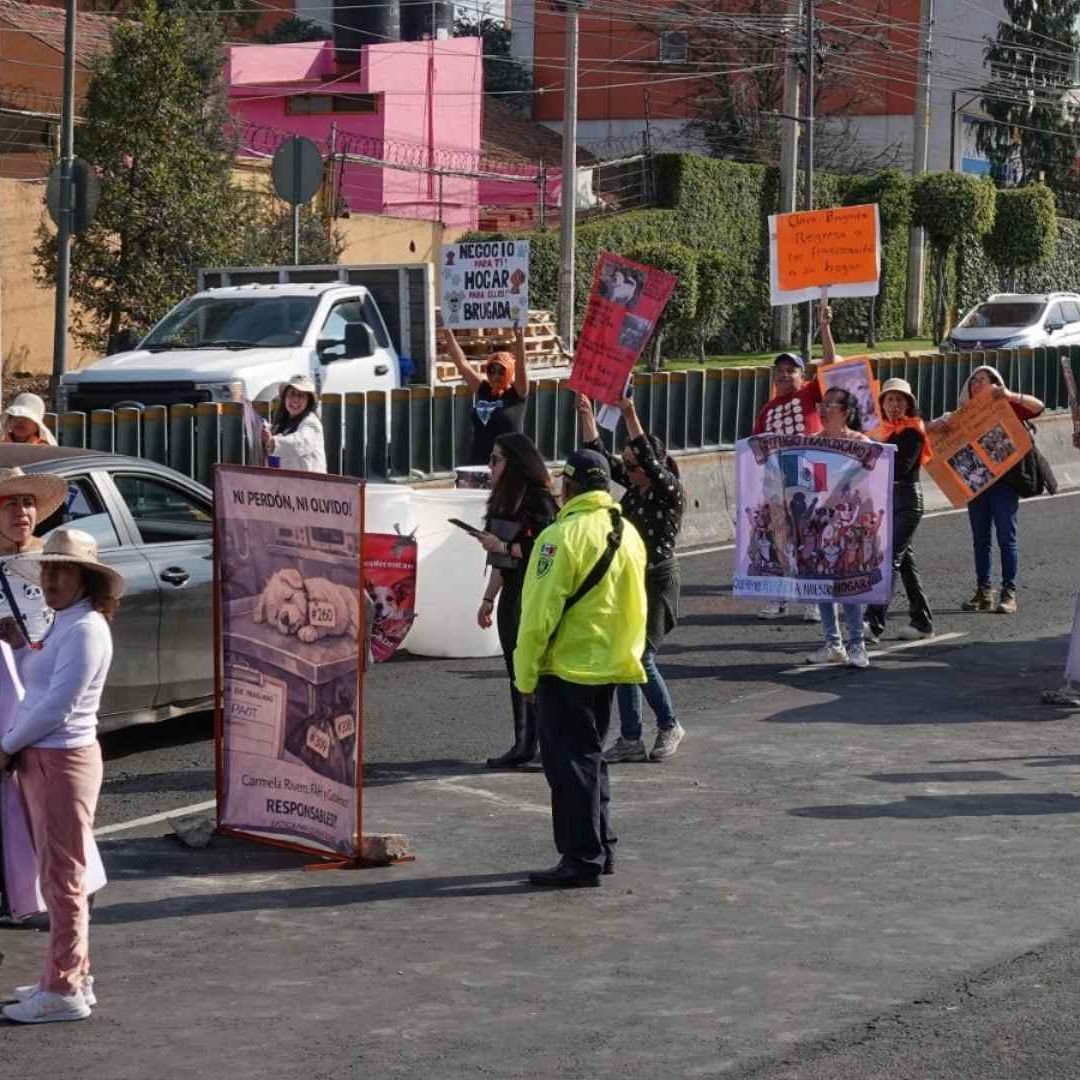 Bloqueo en CDMX por Animales del Refugio Franciscano: