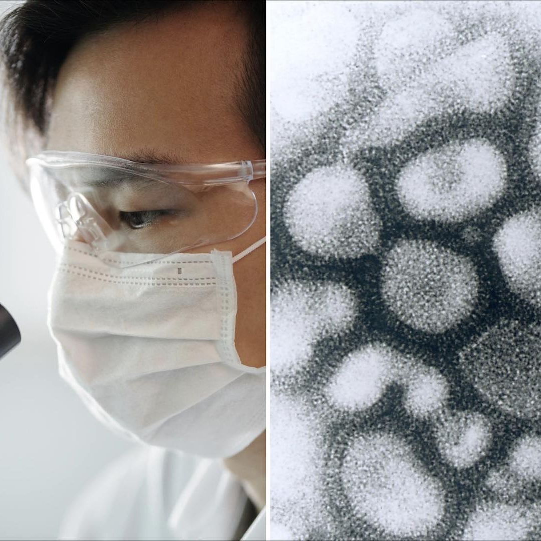Advierten por potencial pandémico de virus de influenza aviar H9N2