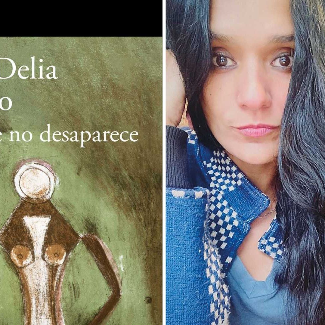 Alma Delia Murillo imagina en ‘Raíz que no desaparece’ una búsqueda de los desaparecidos en México