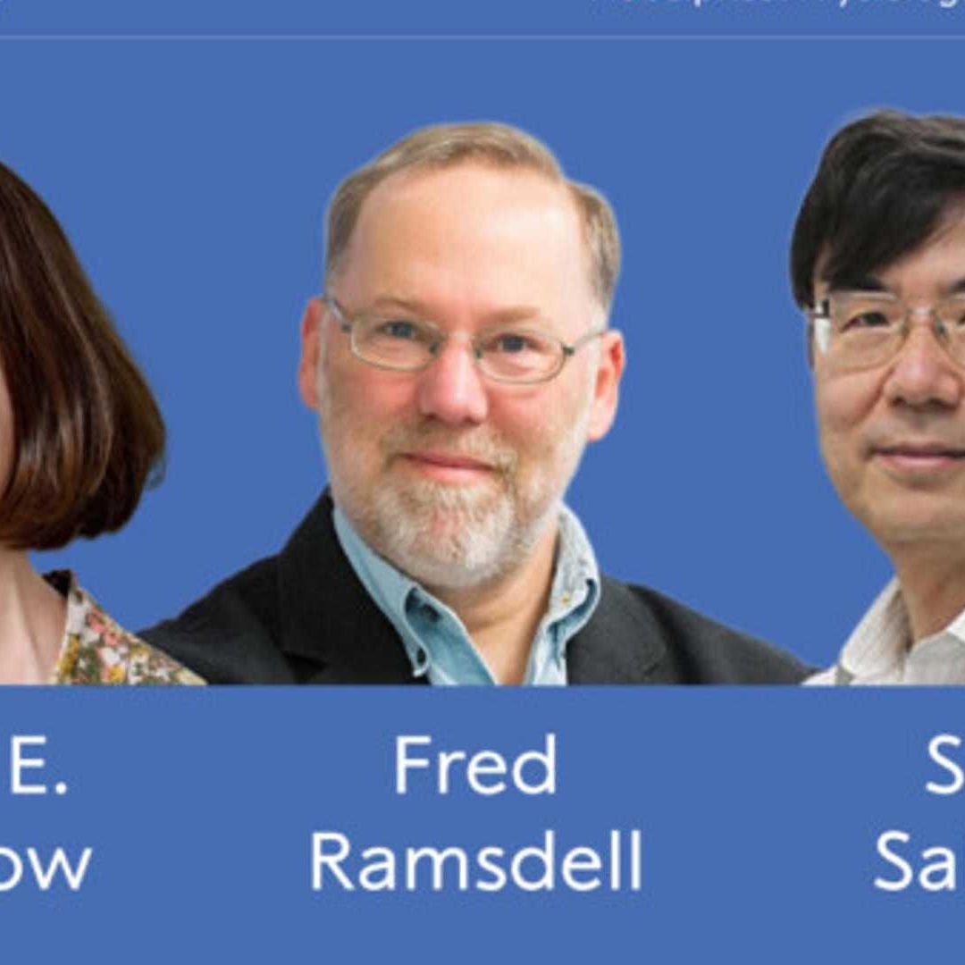 Mary E. Brunkow, Fred Ramsdell y Shimon Sakaguchi, Ganadores del Nobel de Medicina 2025