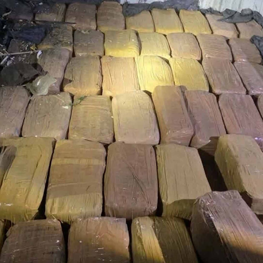 Decomisan Marihuana Oculta Entre Basura en Revisión en Castaños, Coahuila