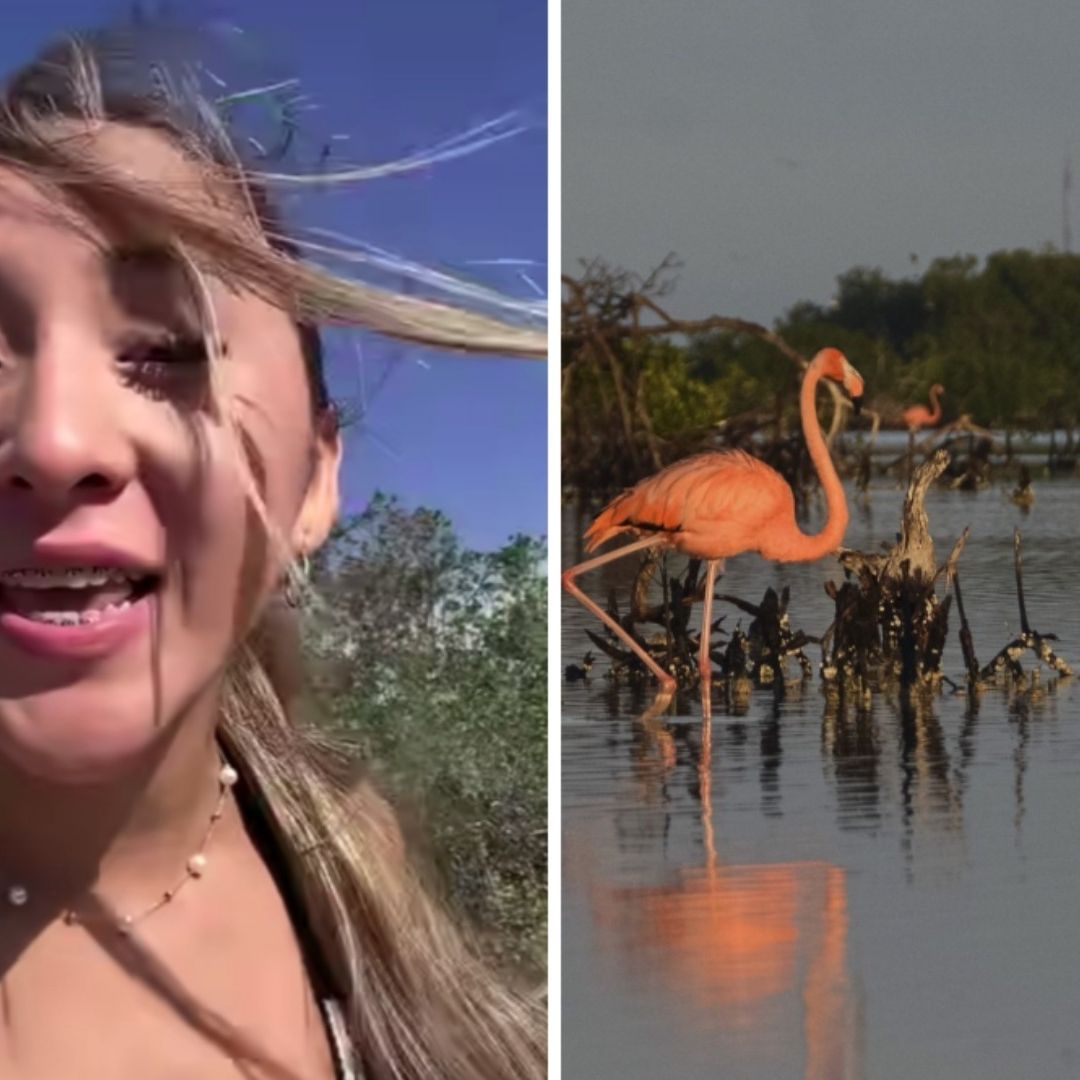 ¿Quién Es Elisa "La Yuca", Creadora de Contenido que Asustó Flamencos en Yucatán? ¿Será Multada?
