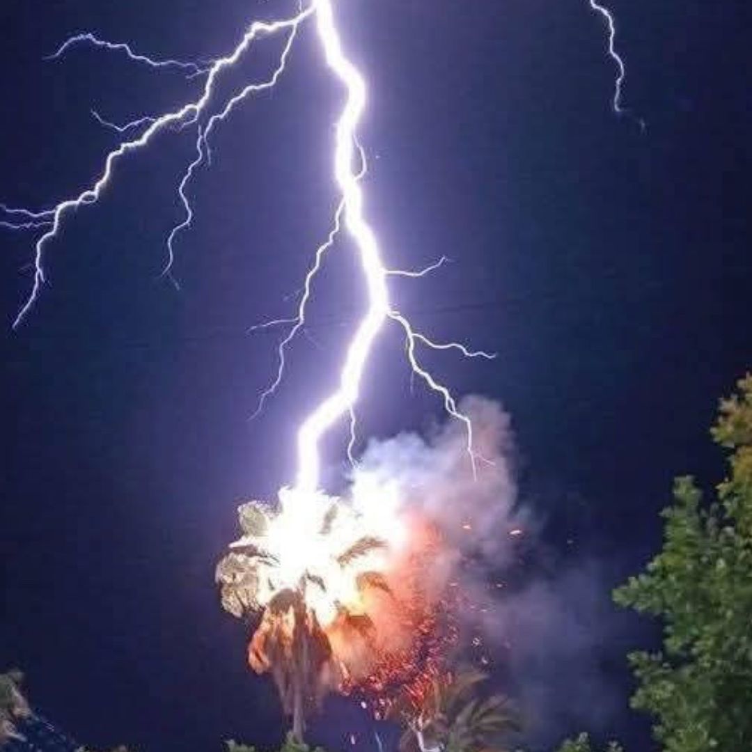Caída Rayo Dos Palmeras Incendio Centro durante Feria de San Pablo Anicano 2026