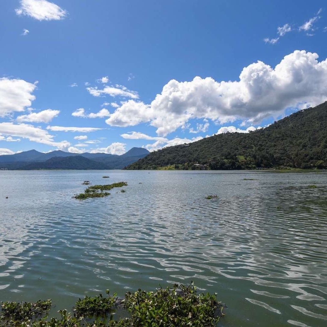 ¿Cómo están el nivel de las aguas en las presas del Sistema Cutzamala hoy?