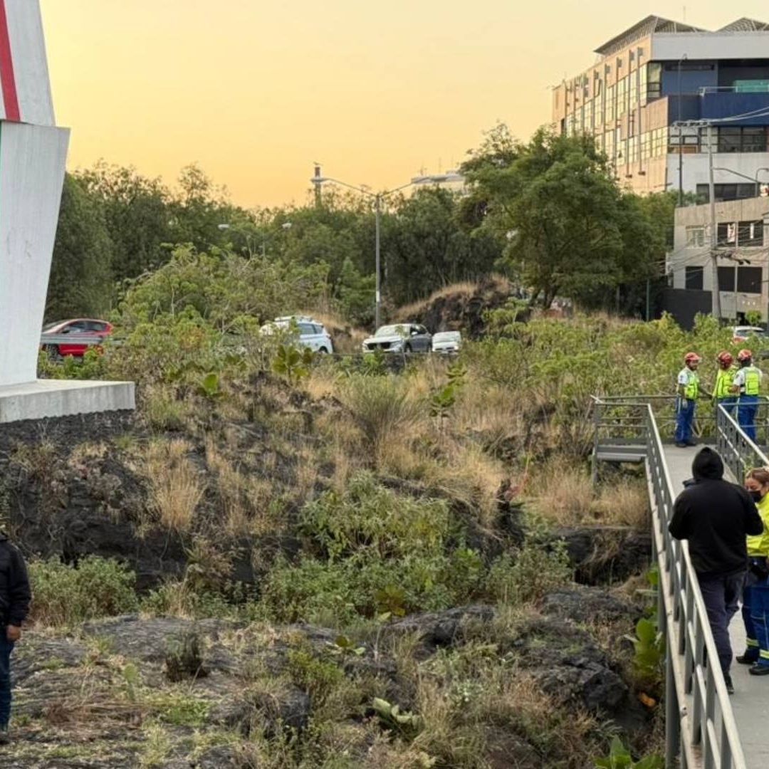 Rescate en zona arqueológica de Tlalpan, CDMX