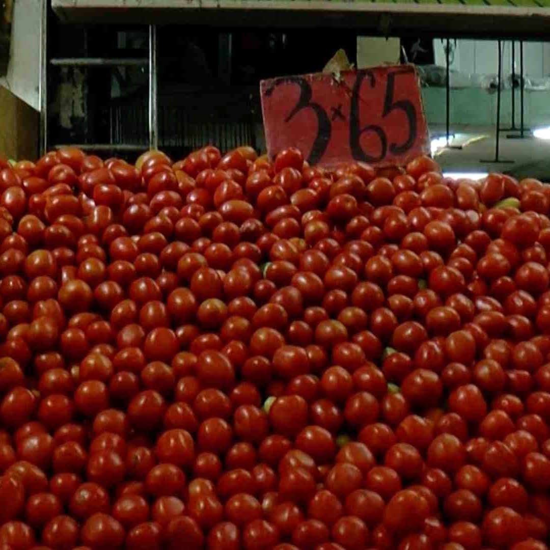 Jitomate en Jalisco