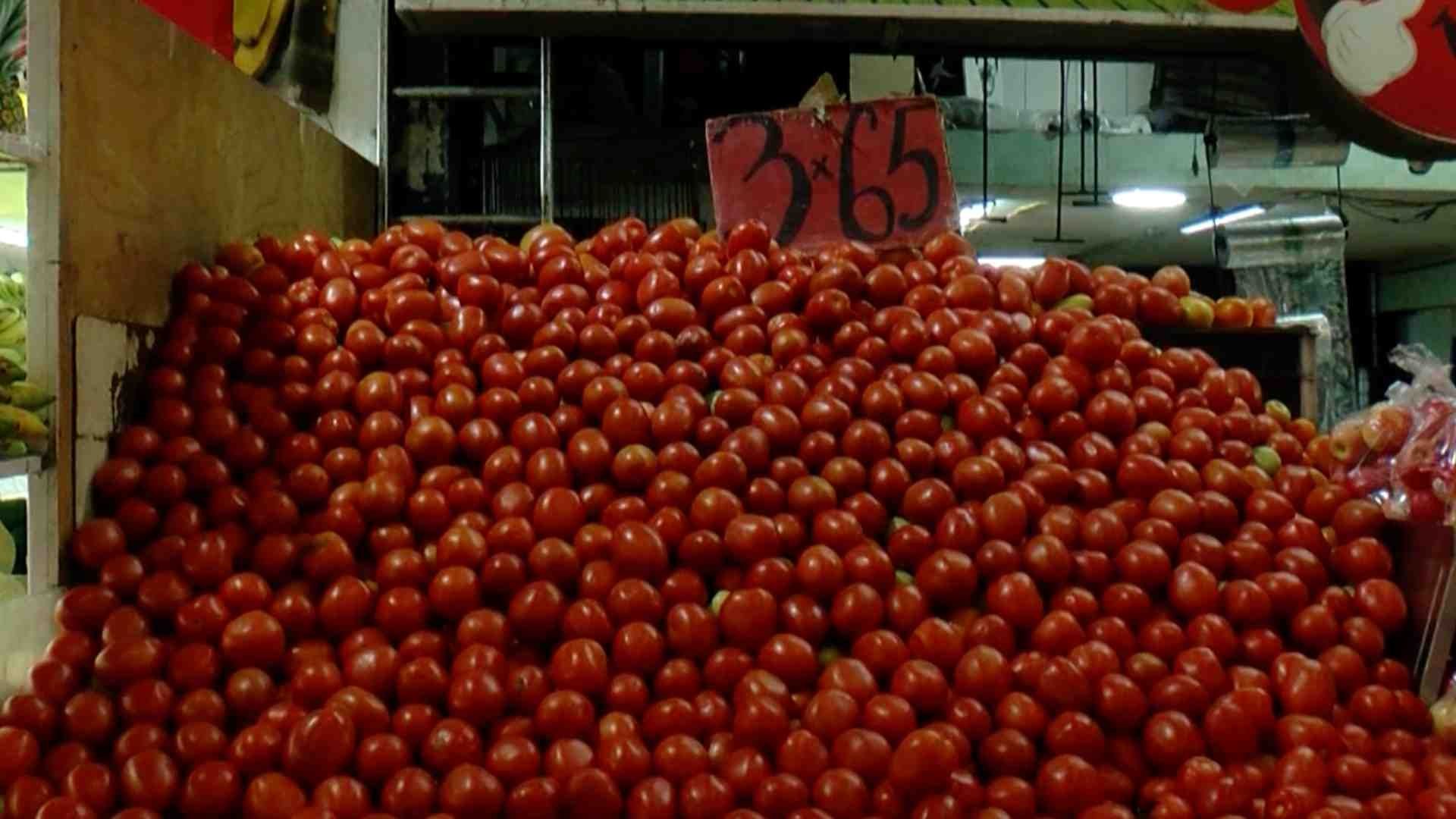 Jitomate en Jalisco