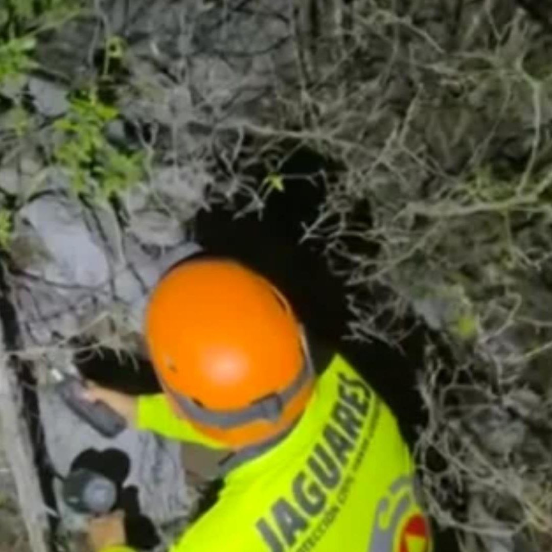 Jaguares de Protección Civil