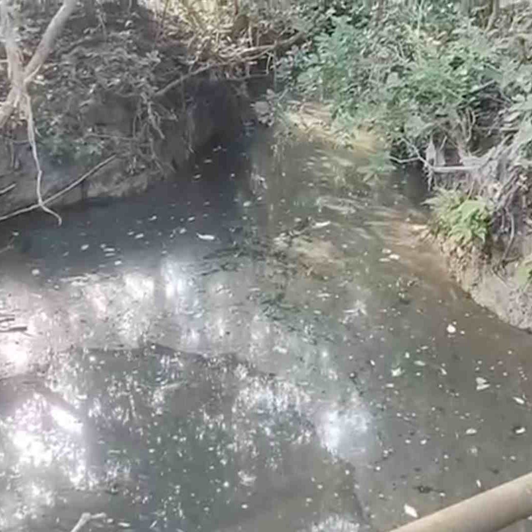 Fuga de Hidrocarburo Ocasiona Problemas de Salud en Habitantes de Chichimantla Segundo en Tihuatlán Veracruz