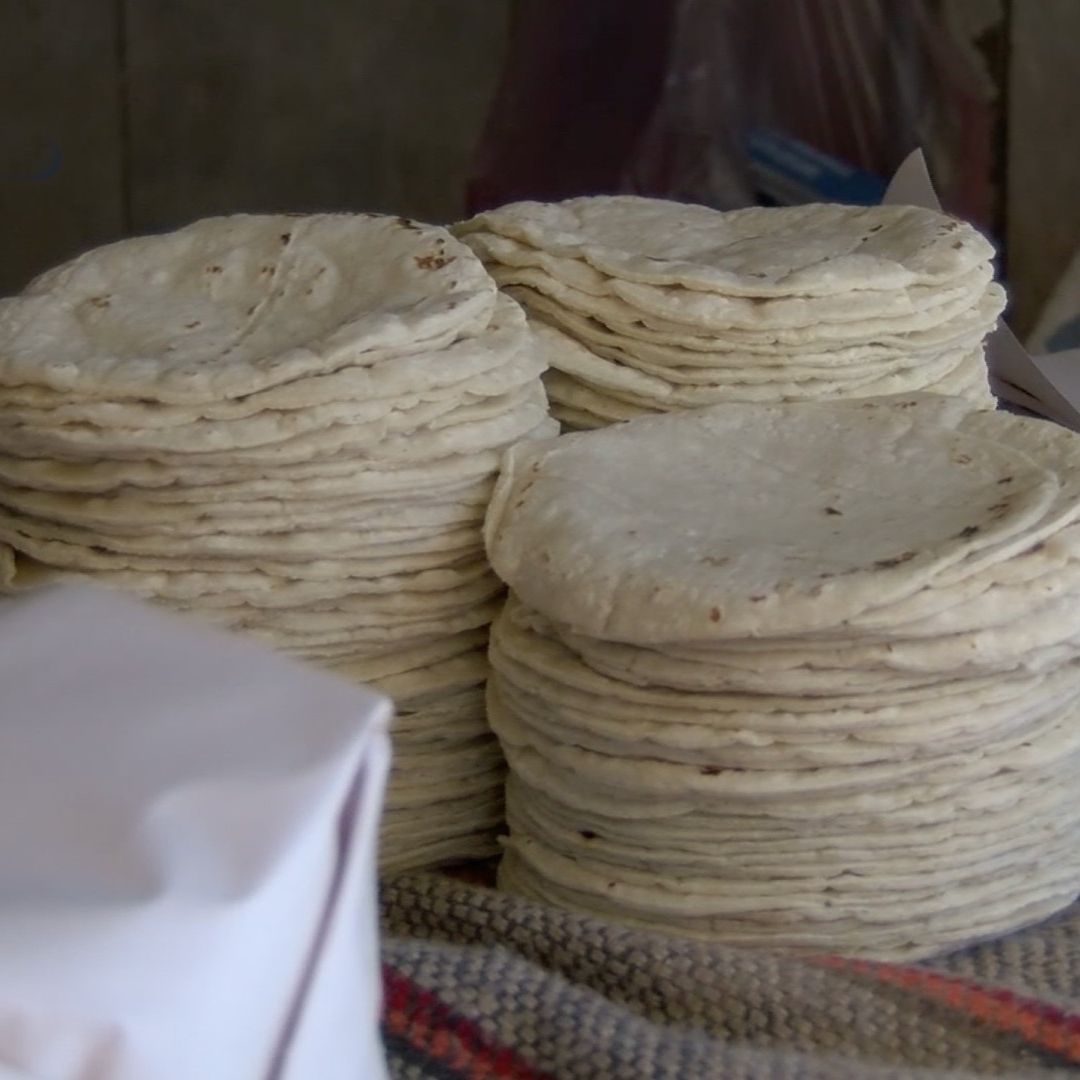 Precio Kilo Tortilla en Puebla y Tlaxcala Tortillerías No Hay Aumento en Costo Cuánto Cuesta Hoy