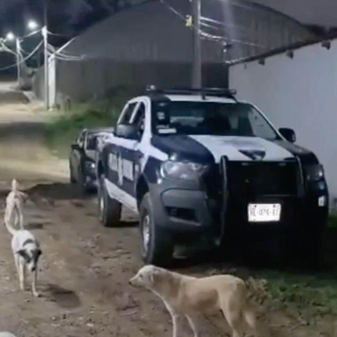 patrulla y perros en calle de Xalapa