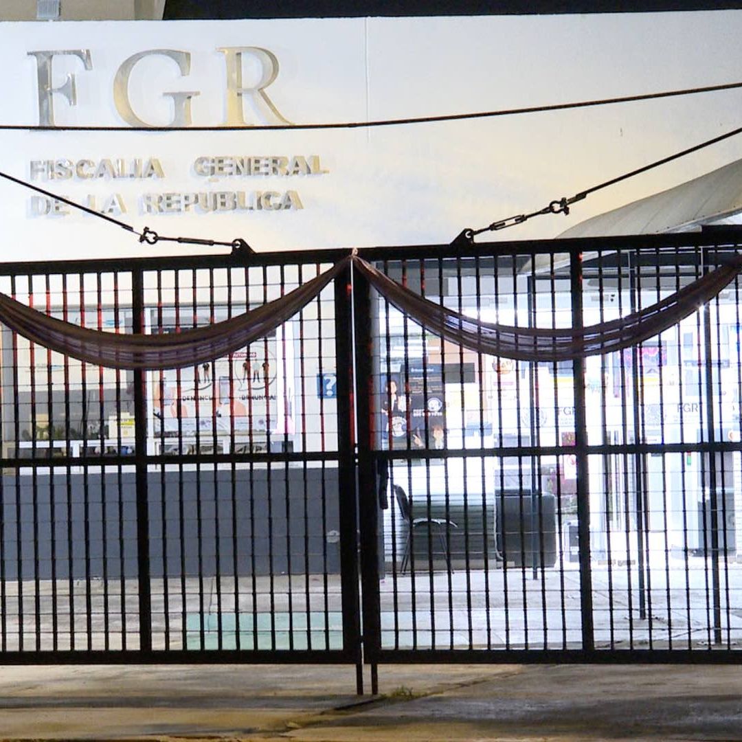 Plantío Amapola Zoquitlán Puebla Asegurado Campo Droga Paraje La Z Fiscalía General de la República