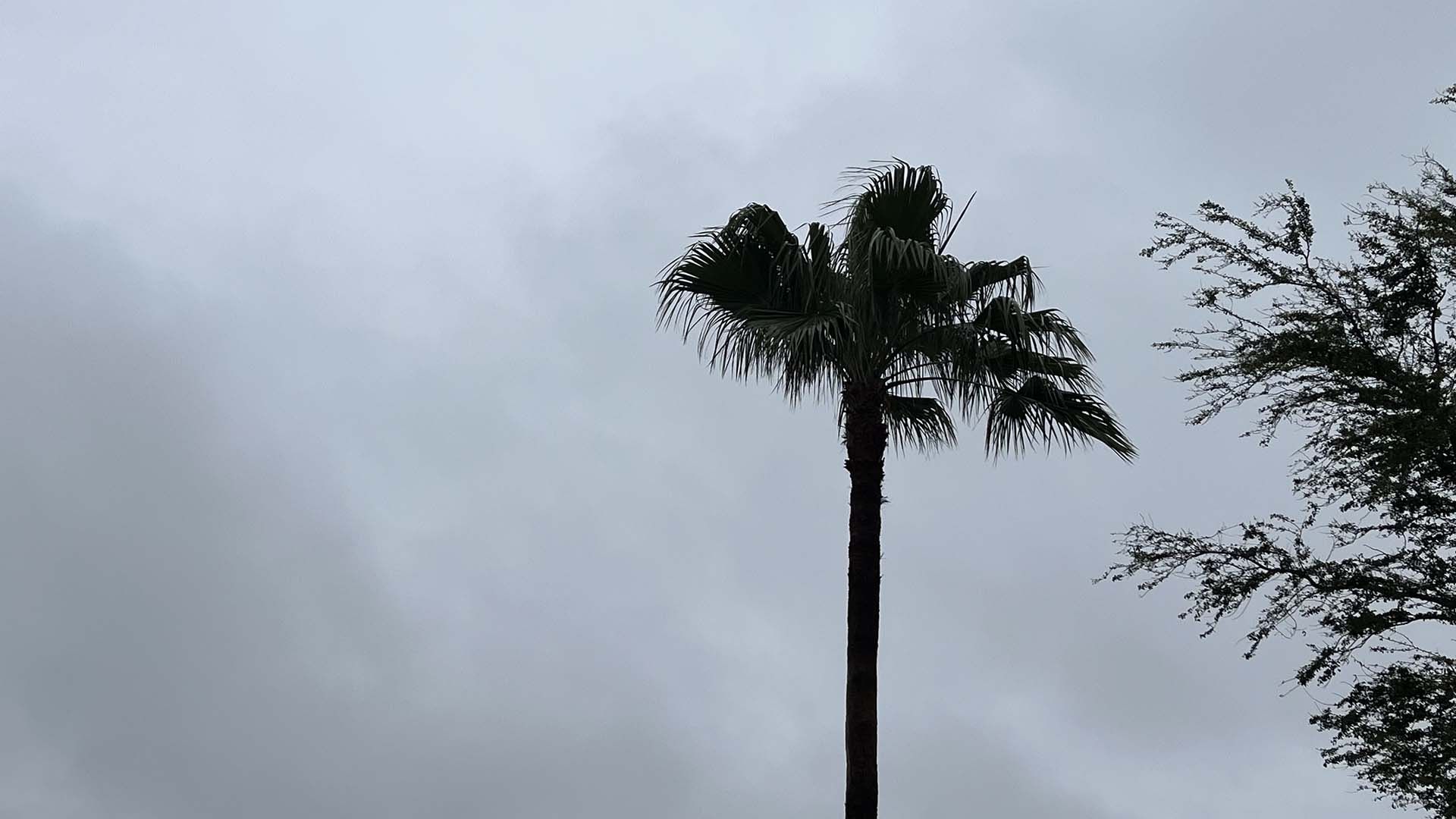 ¿Cómo Estará el Clima Hoy Lunes 20 Abril 2026 en Tamaulipas?