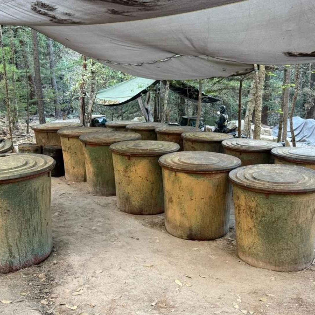 Localizan Dos Laboratorios de Metanfetamina en la Sierra de Chihuahua