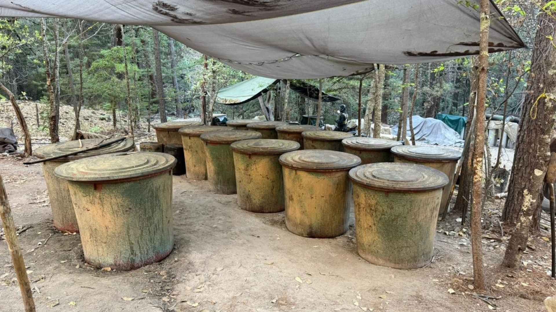 Localizan Dos Laboratorios de Metanfetamina en la Sierra de Chihuahua