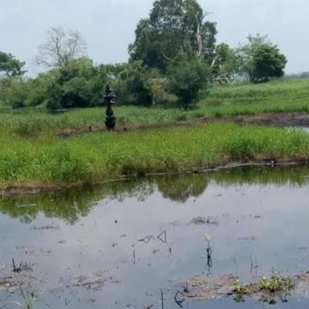 Autoridades Atienden Presunta Fuga de Hidrocarburo en Pozo Concepción 134 Minatitlán al Sur de Veracruz