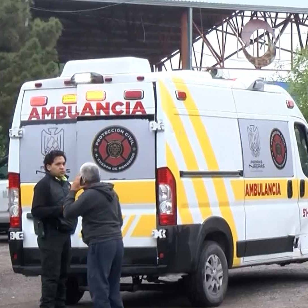 Hombre Queda Inconsciente al Caer de un Árbol en Piedras Negras