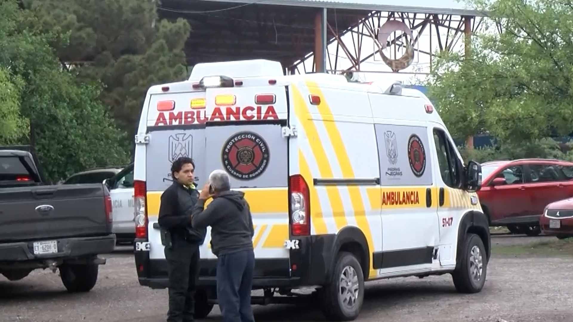 Hombre Queda Inconsciente al Caer de un Árbol en Piedras Negras