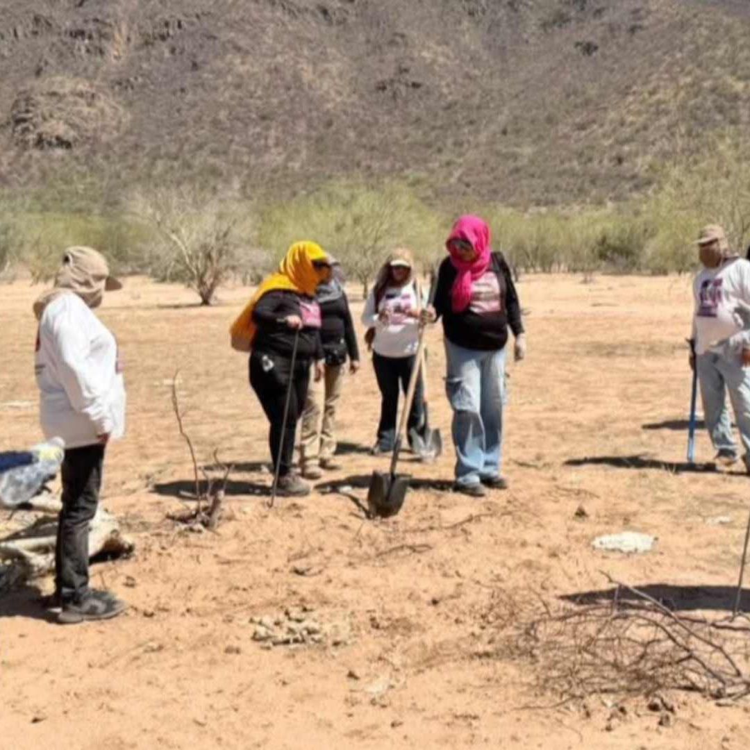 Localizan Osamenta en Fosa Clandestina en Carretera 26 de Hermosillo, Sonora