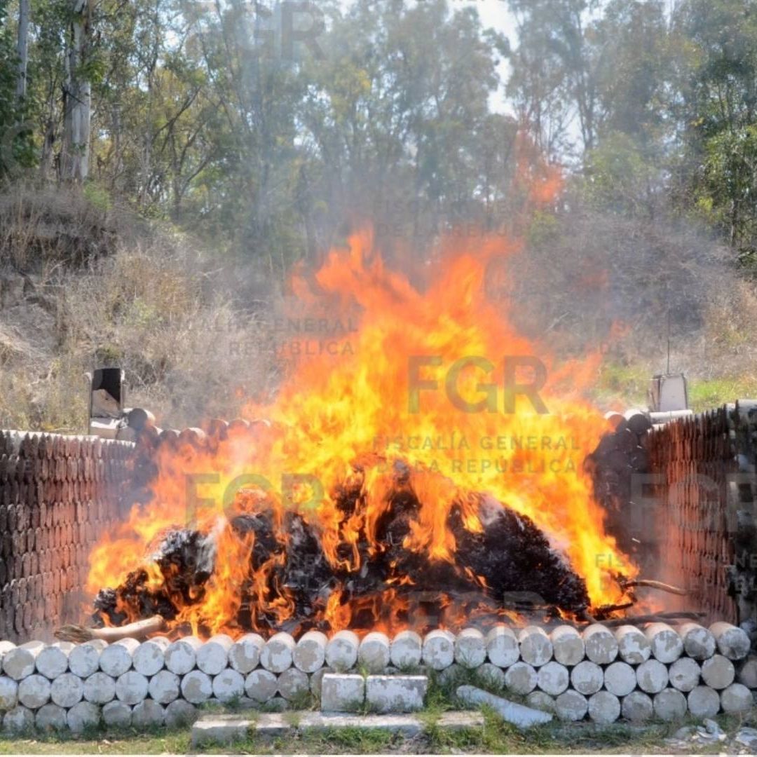 Incinerados 195 Kilogramos de Droga e Inhibidores de Señal Asegurados en Puebla