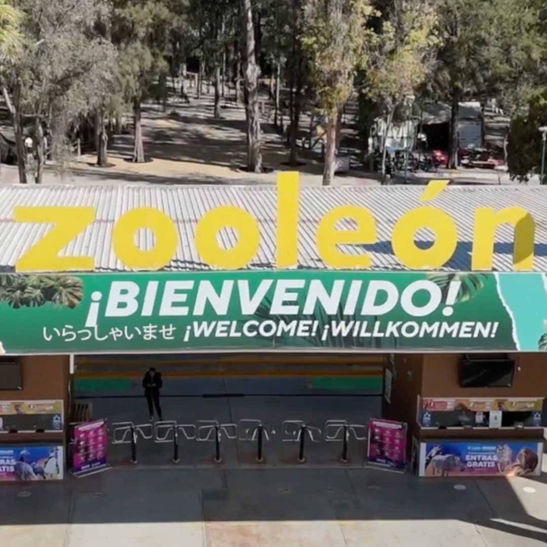 PROFEPA Cierra el Zoológico de León, Guanajuato Hasta Nuevo Aviso. Foto: N+