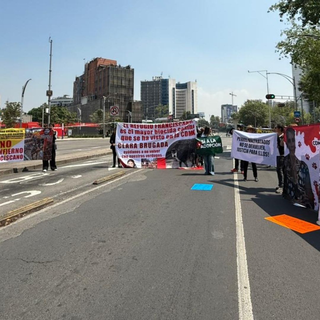 manifestación