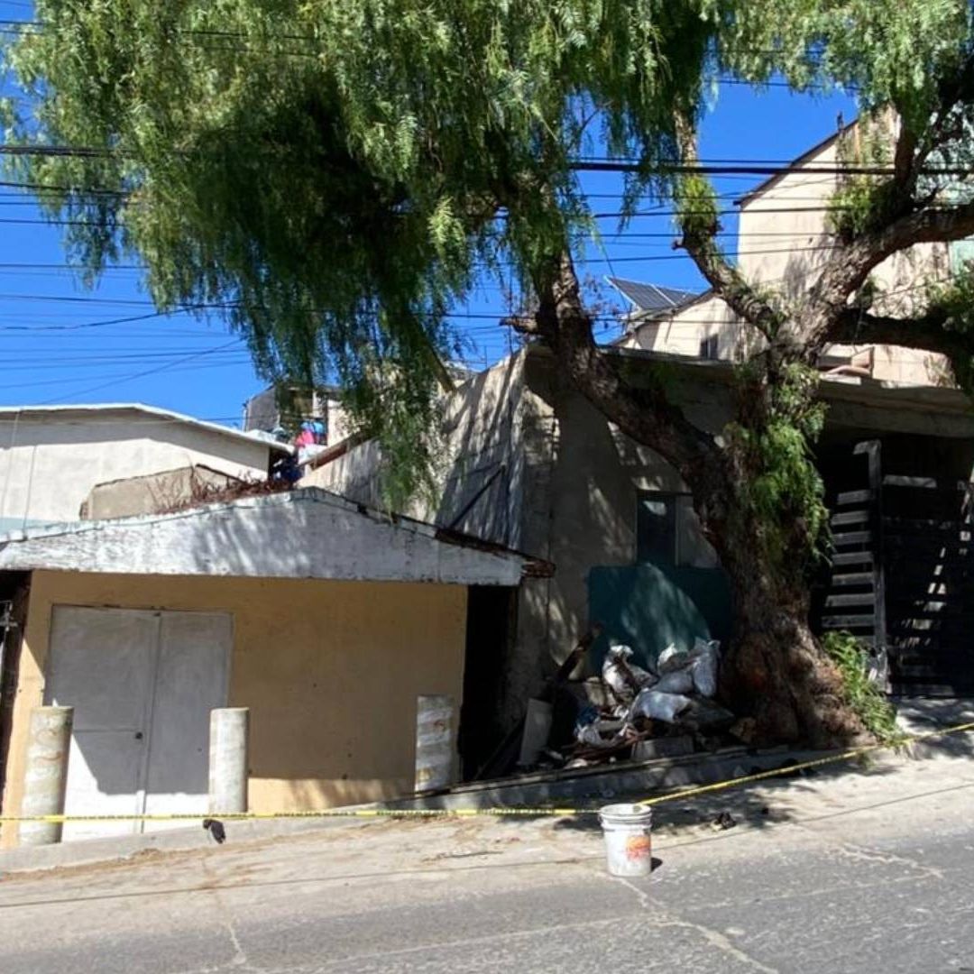 Hombre que Realizaba Poda Sufre Descarga Eléctrica y Cae de Varios Metro en Tijuana