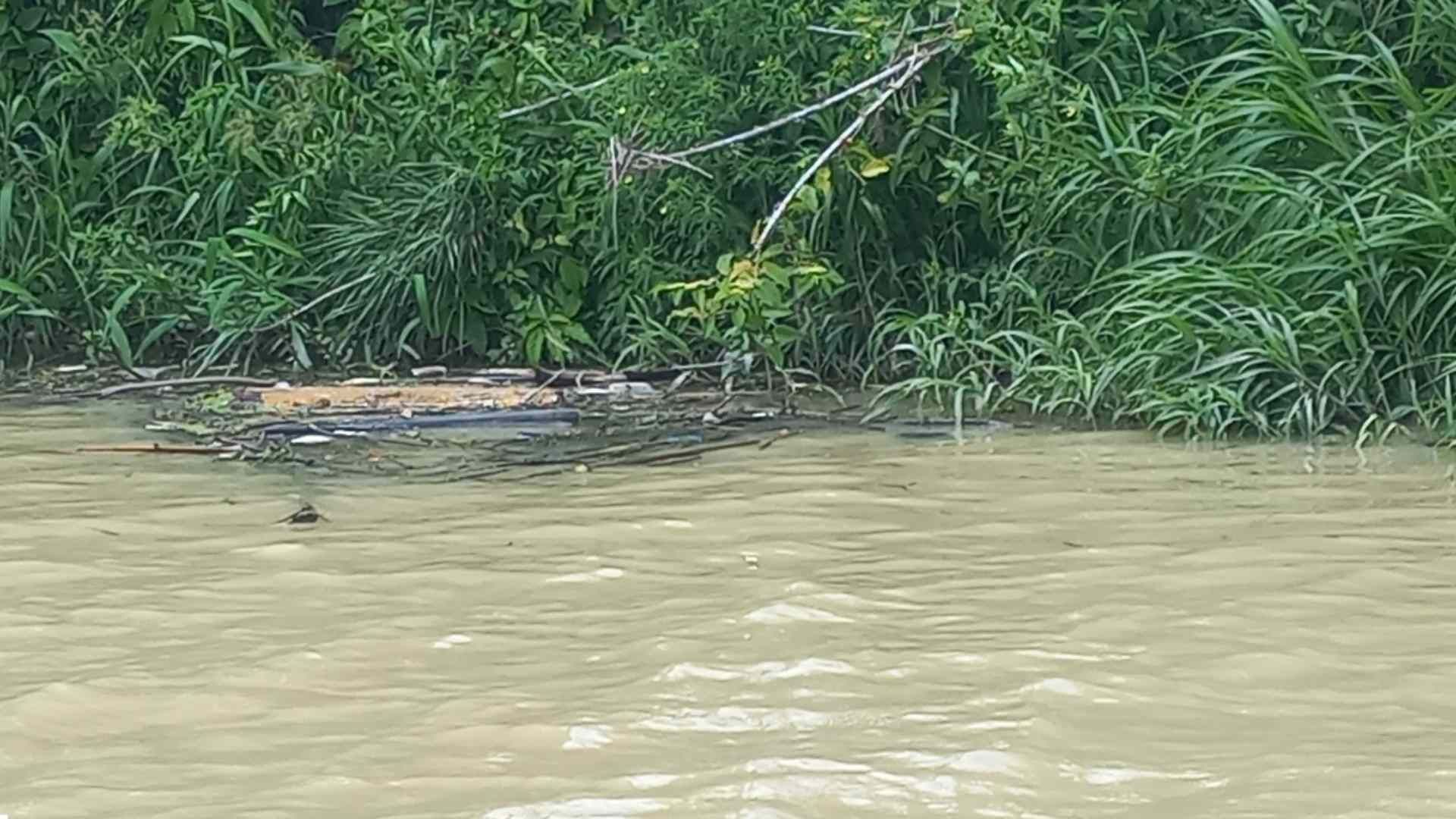 Reportan Mortandad de Peces en Río Cazones Balsa Paquita Bajo Grande Veracruz Investigan Presencia de Hidrocarburo
