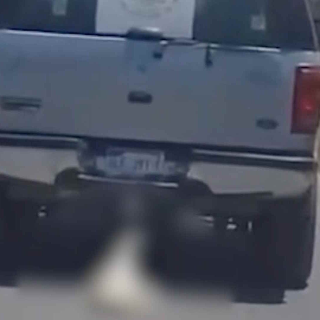 Denuncian Maltrato Animal por Perro Arrastrado en Querétaro