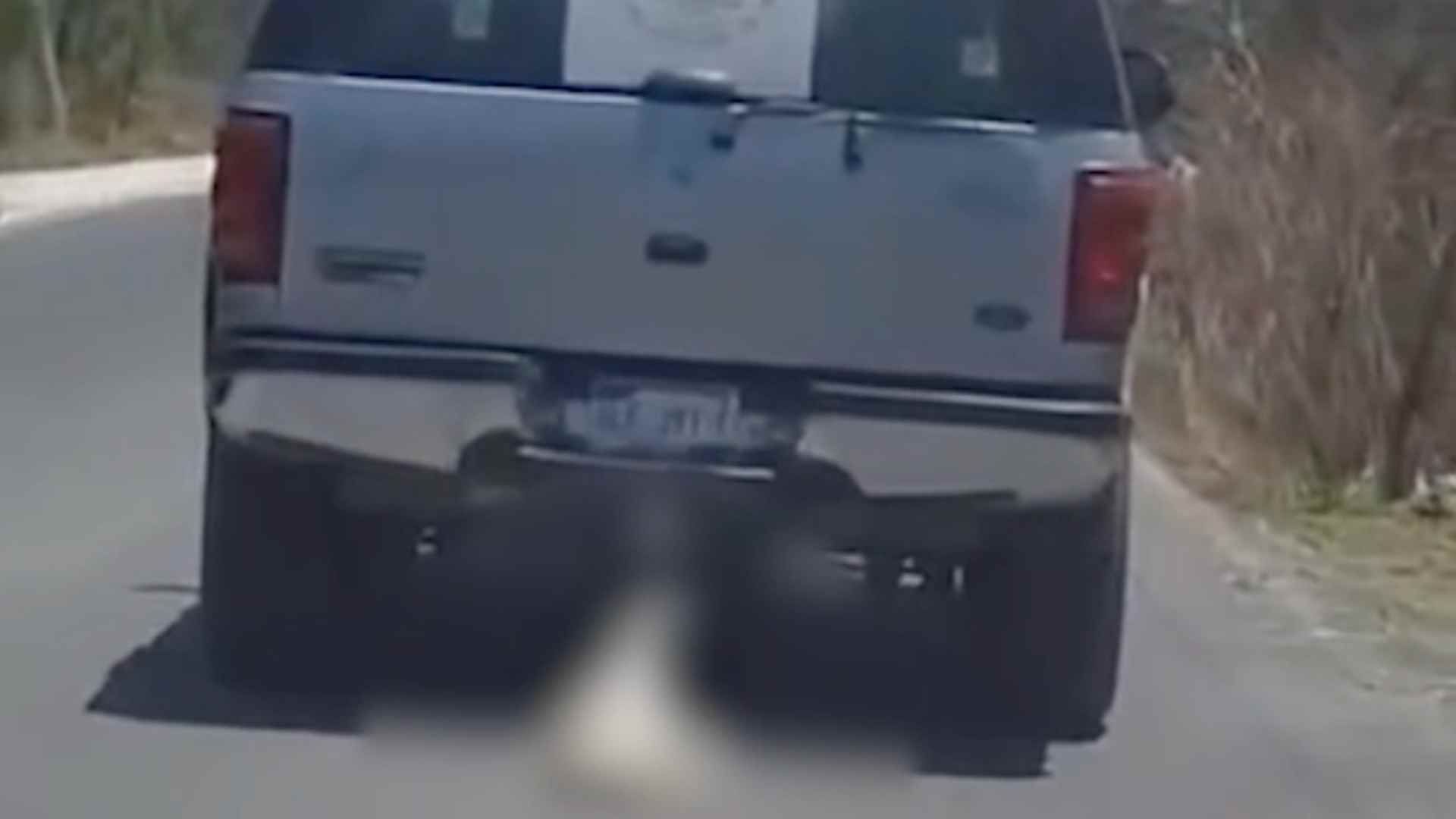 Denuncian Maltrato Animal por Perro Arrastrado en Querétaro