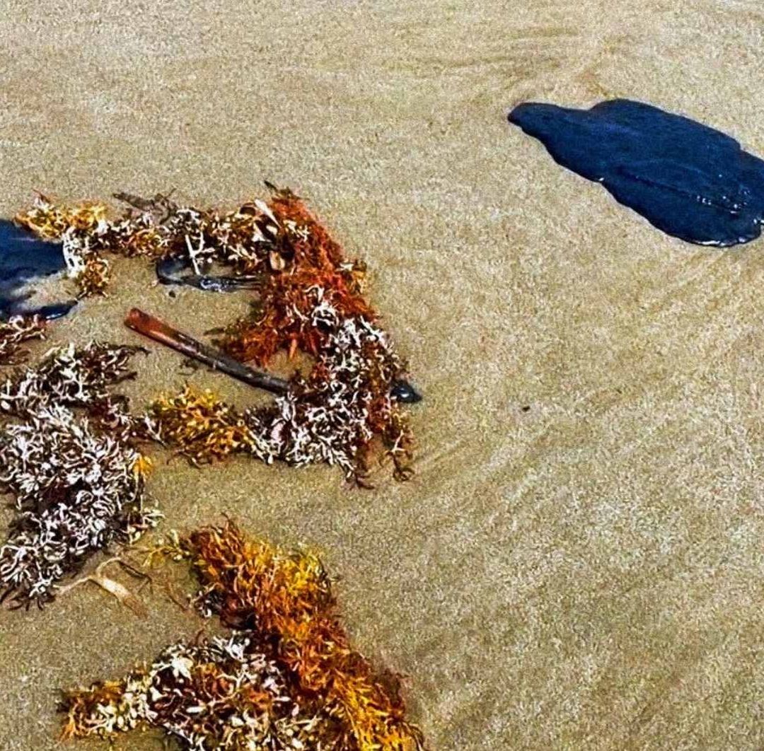 Paga Pemex Millones por Monitoreo para Detectar Derrames y No Informó del Ocurrido en el Golfo