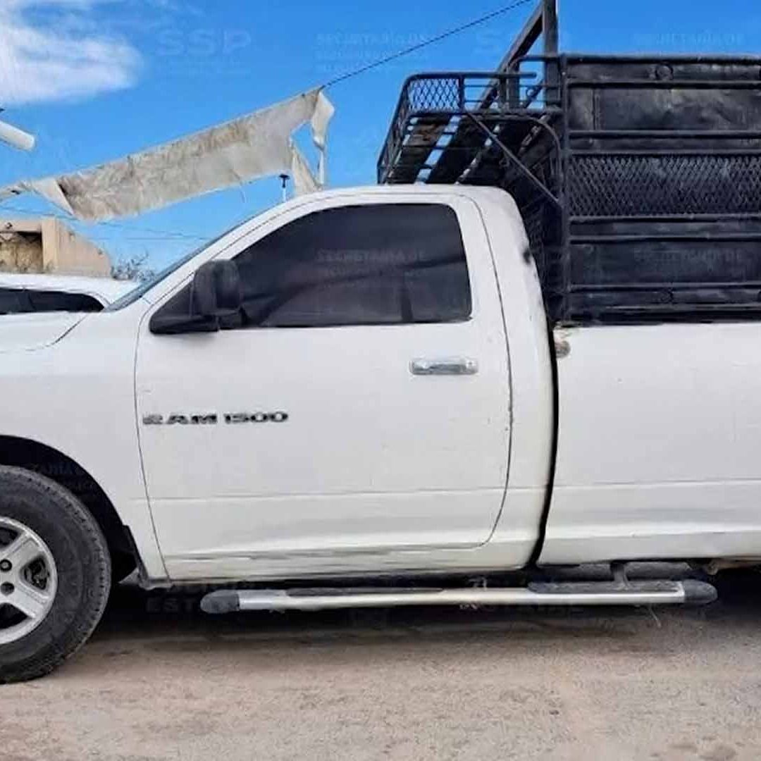 Hombre es Detenido tras Persecución en Gómez Palacio; Encuentran Vaca Muerta Dentro del Vehículo