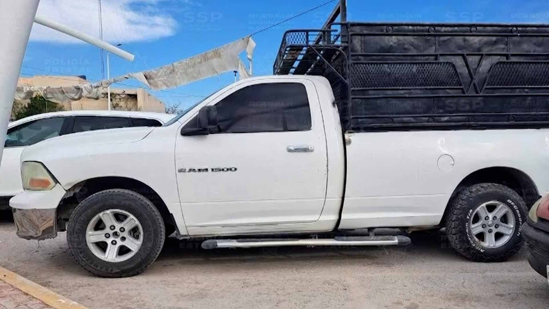 Hombre es Detenido tras Persecución en Gómez Palacio; Encuentran Vaca Muerta Dentro del Vehículo