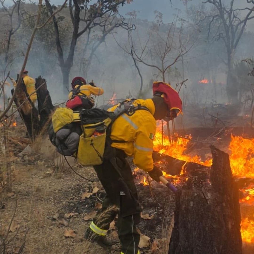 Activan Alerta Atmosférica en Cuatro Municipios de la Zona Metropolitana de Guadalajara