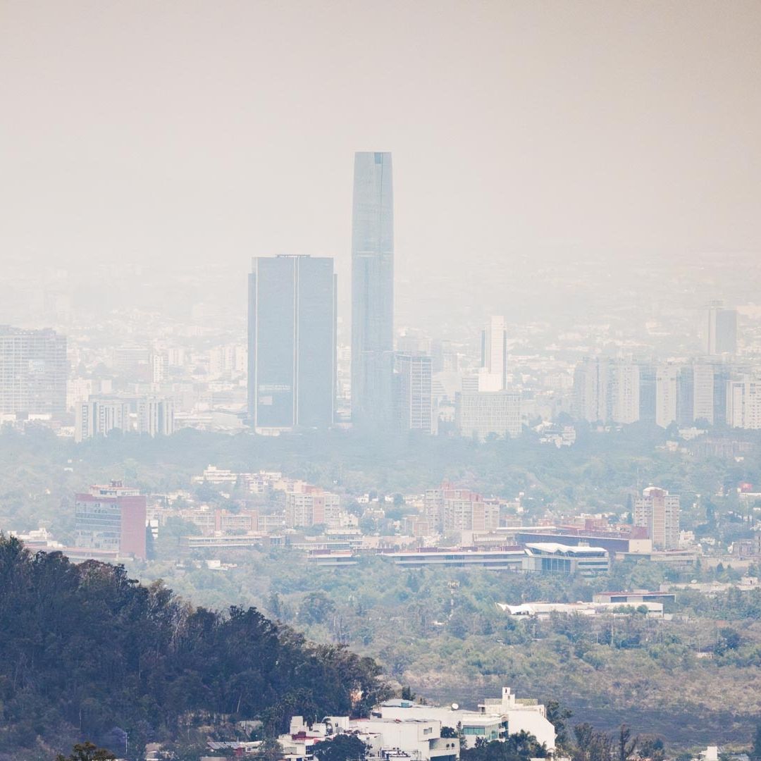 Contingencia ambiental hoy 25 de abril 2026. Foto: N+
