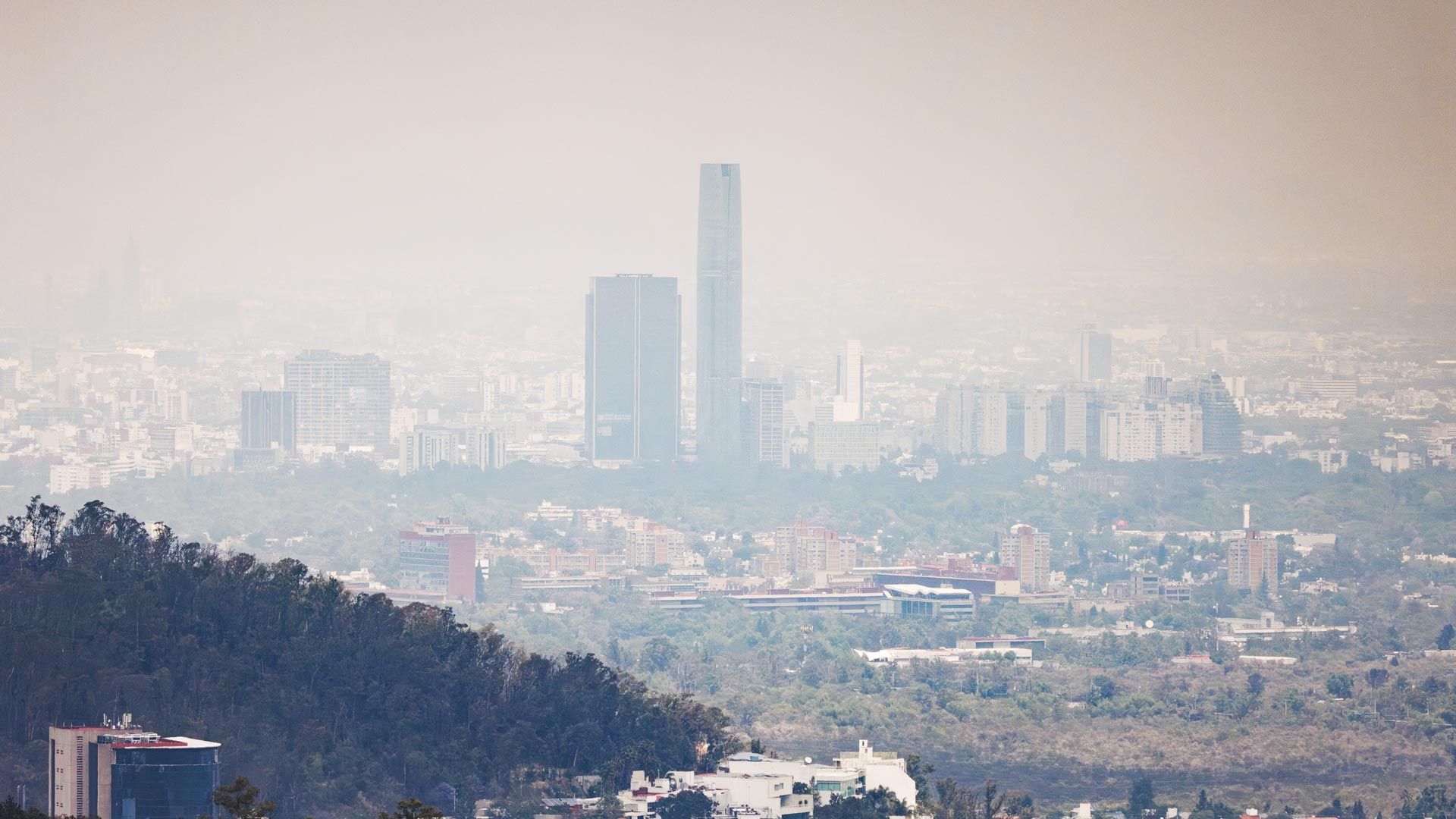 Contingencia ambiental hoy 25 de abril 2026. Foto: N+
