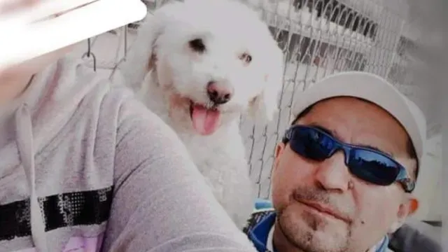 Perrito 'Chicharrón' Viajaba en el Taxi de su Dueño porque Estaba Enfermo: ¿Qué Tenía?