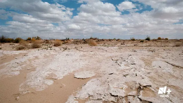Río Colorado. La disputa por el agua en tiempos de sequía. N+ Focus