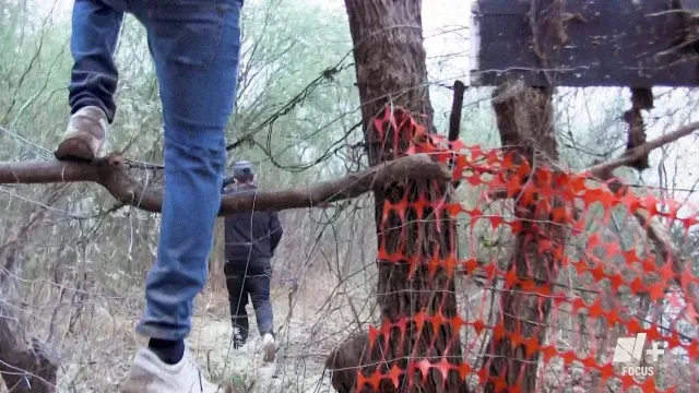 Los migrantes pueden pagar hasta 2 mil 500 dólares únicamente por el cruce. Foto: N+Focus