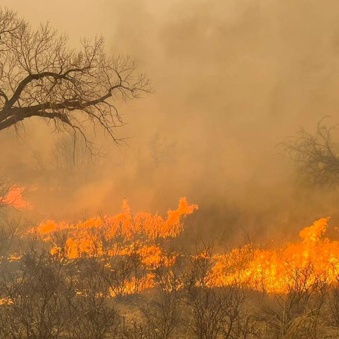 Incendio forestal en Texas