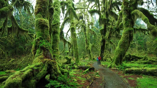 Seattle Washington Brand USA Viaje Turismo naturaleza innovacion peninsula olimpica