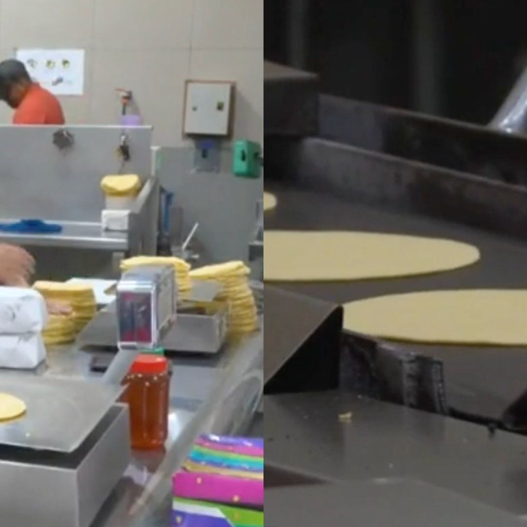 Tortillería y producción de tortilla