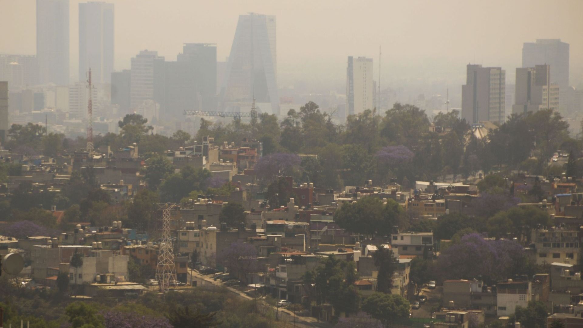 Se activó la contingenci aambiental para este 26 de abril 2026, con doble no circula