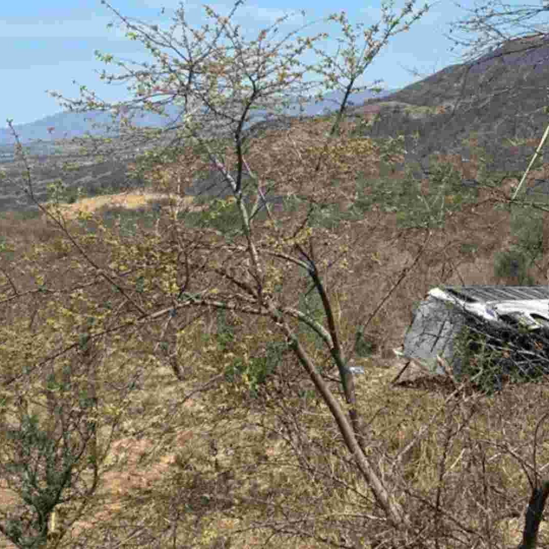 Esta es la ruta que seguía el autobús que se volcó en Amatlán de Cañas