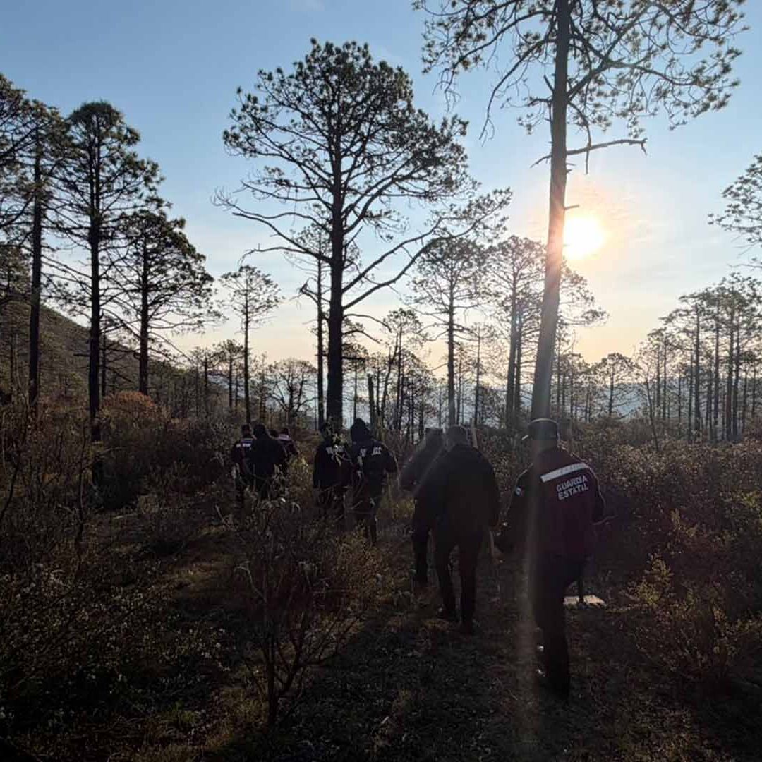 Activan Plan Tamaulipas por Incendio Forestal en Miquihuana