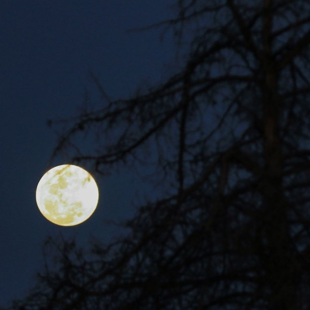 Luna llena de mayo