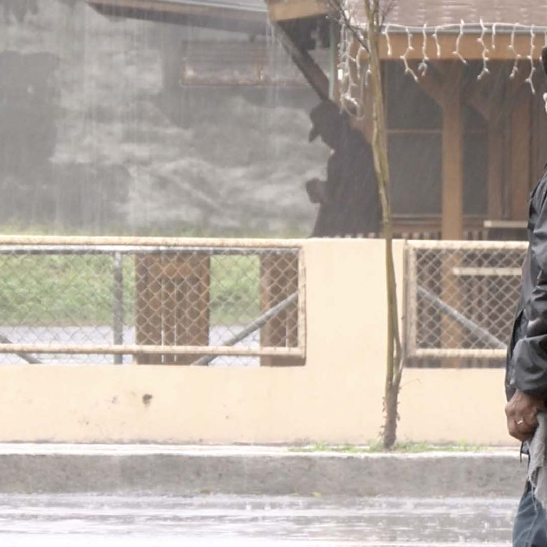 El Frente Frío 48 Llegará a Tamaulipas con Lluvias, Tormentas y Evento del Norte