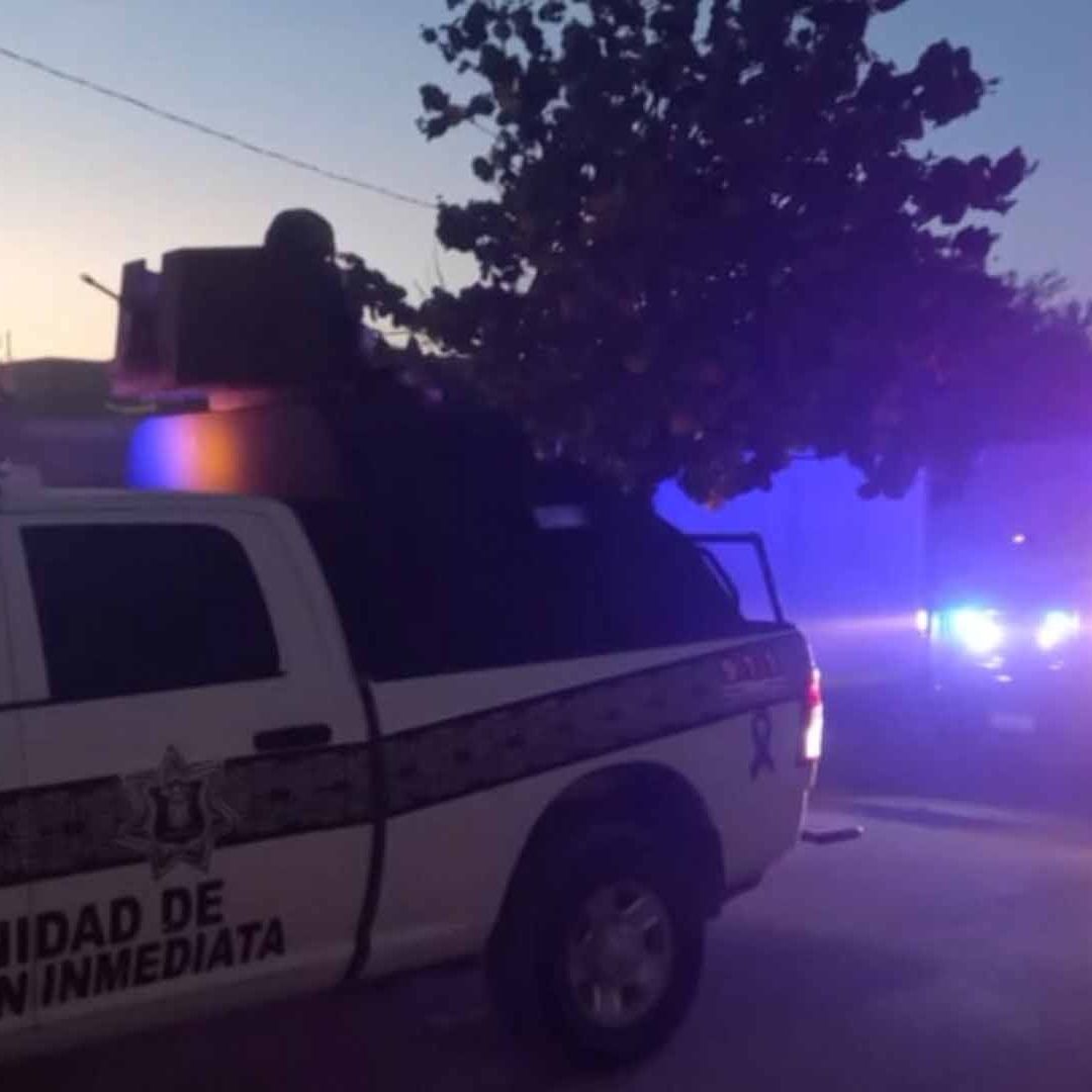 Adolescente Mata a Gato con Rifle de Postas en Gómez Palacio